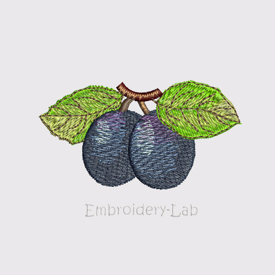 Embroidery Lab