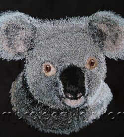 Koala 0001