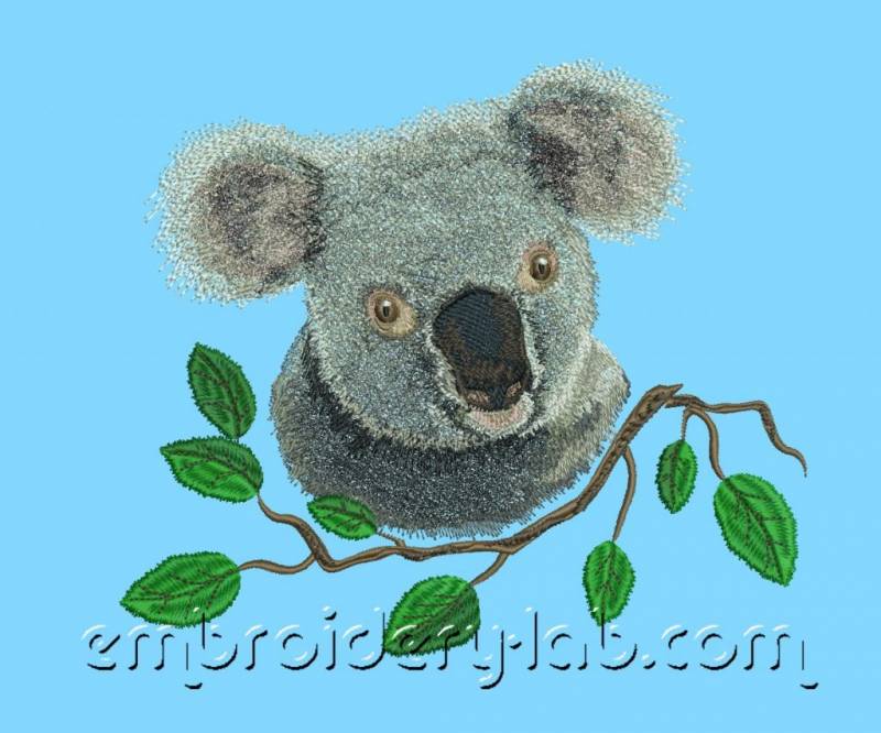 Koala 0001 + Branch 0001 + Branch 0002 SET