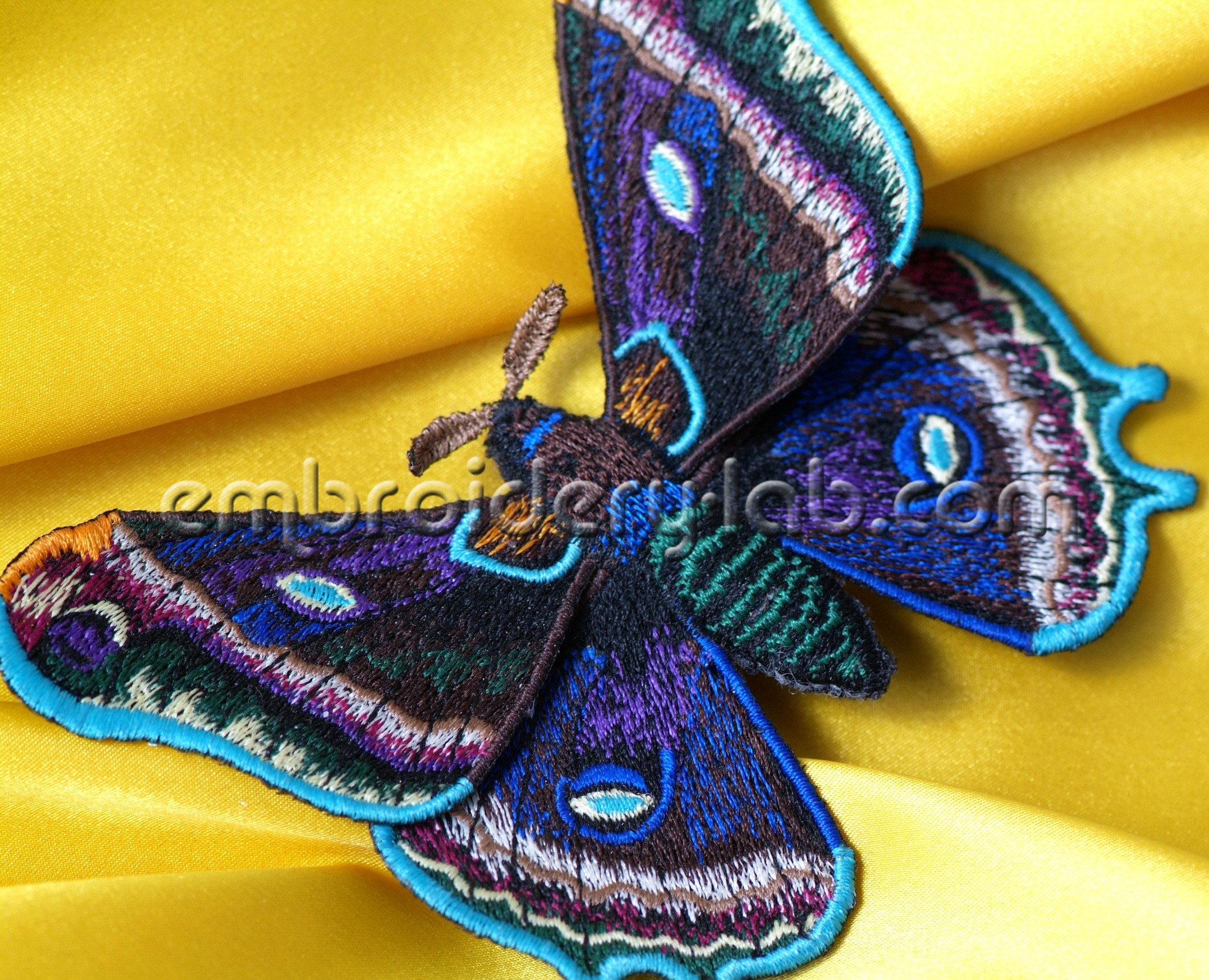 Butterfly 0006 3D