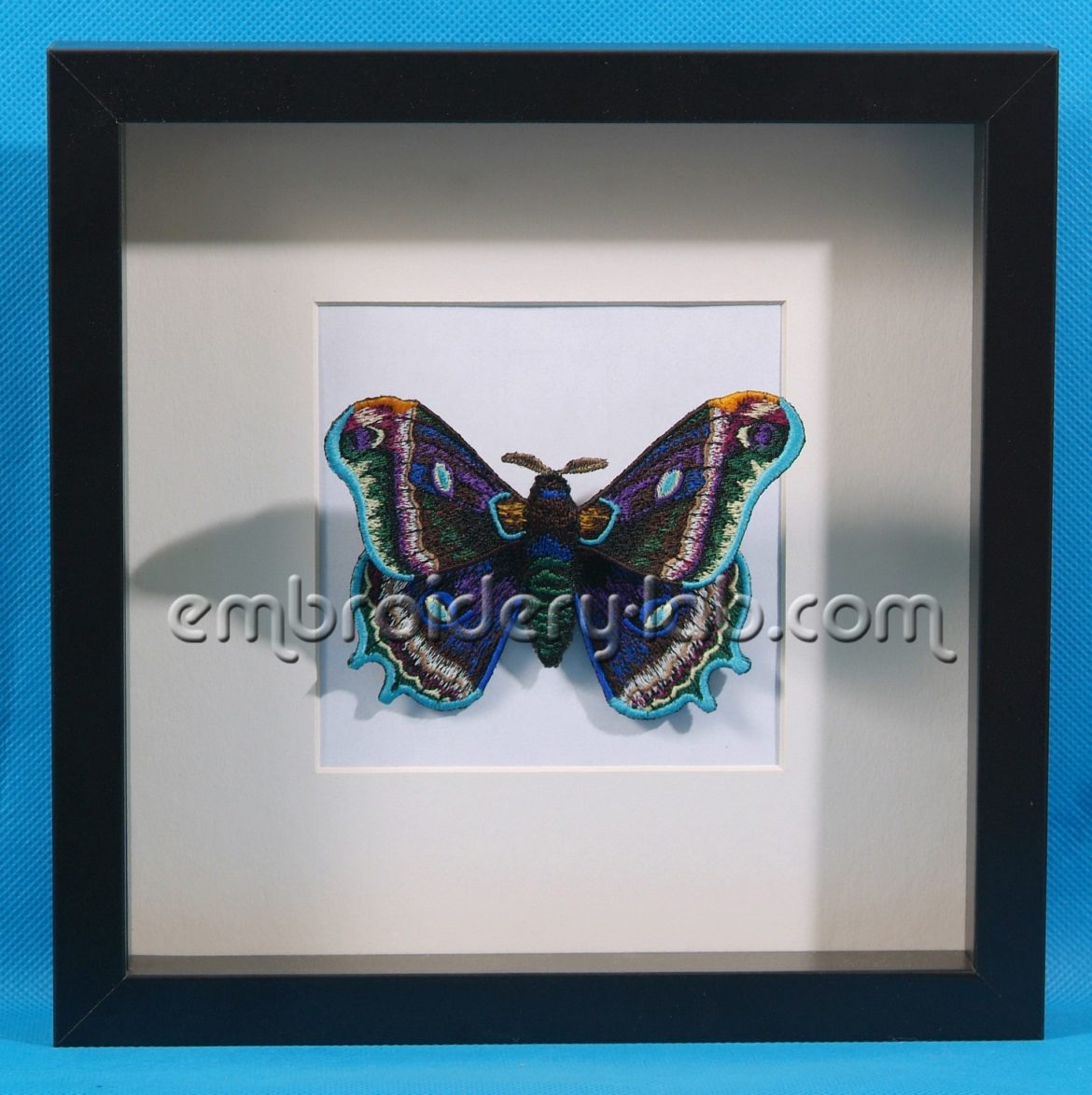 Butterfly 0006 3D