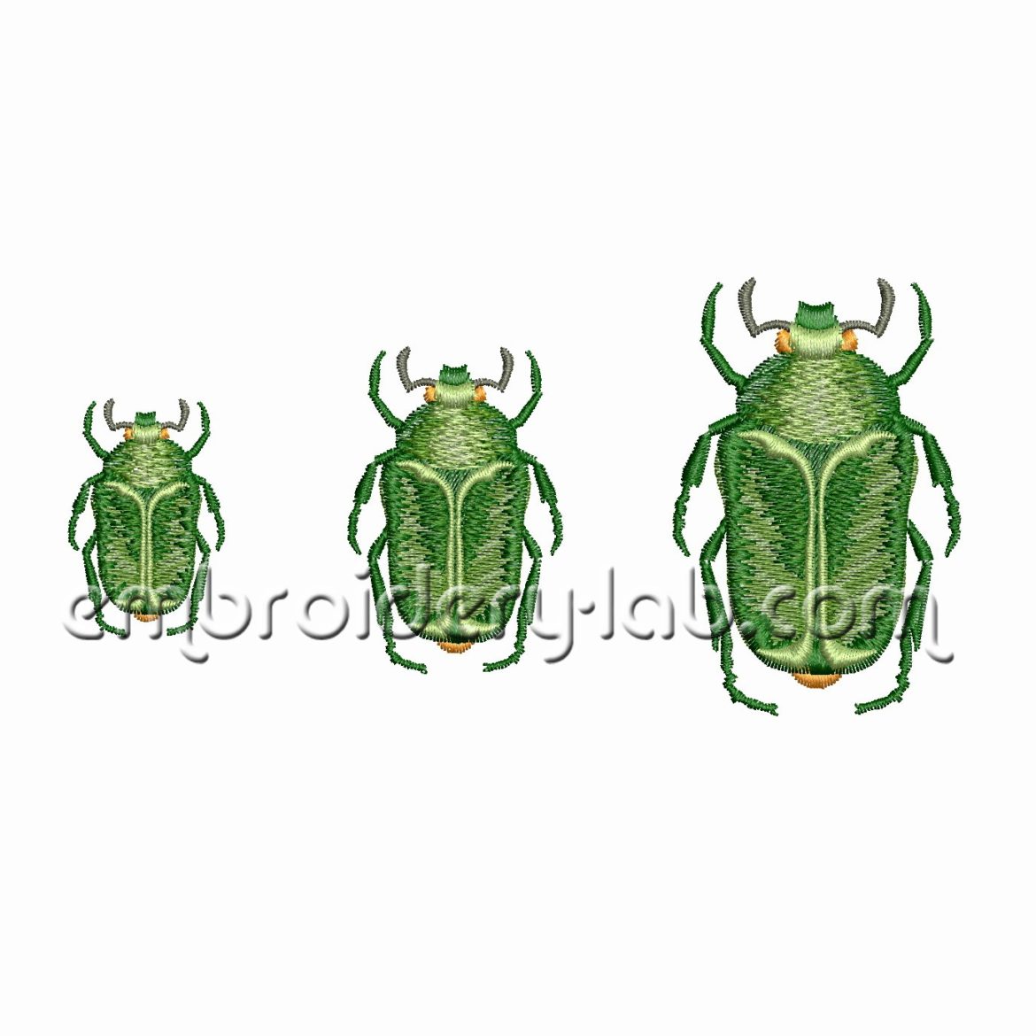 Beetle 0001